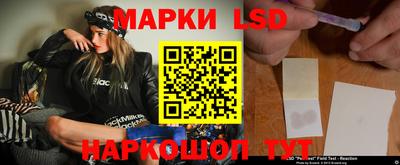 стаф Гай