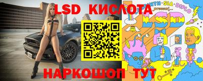 стаф Гай