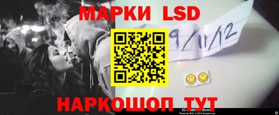стаф Гай
