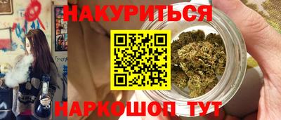 стаф Гай