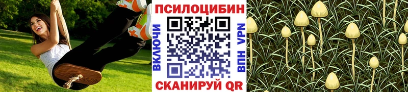 Псилоцибиновые грибы Psilocybe  Нижнекамск 