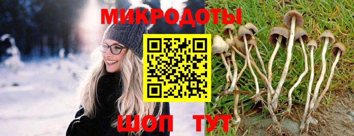 Галлюциногенные грибы мухоморы  Вход с VPN  Нижнекамск 